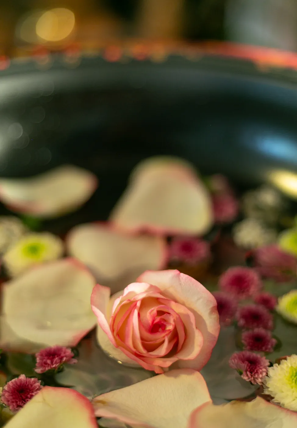 Rose und Blütenblätter in einer Wasserschale — Vorbereitung des Rituals